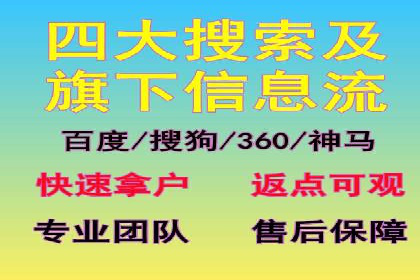 成功案例：SEM托管代运营助力业务增长